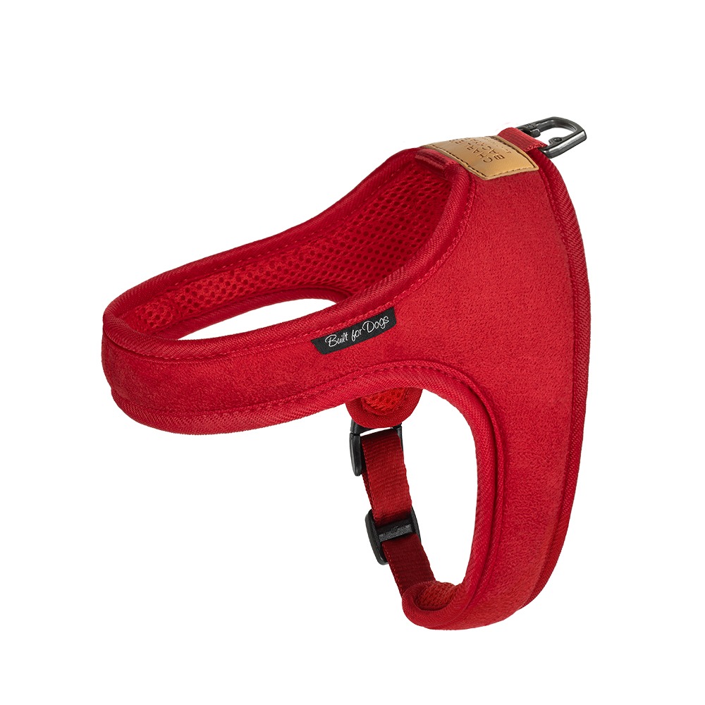 TOWN HARNESS / RED